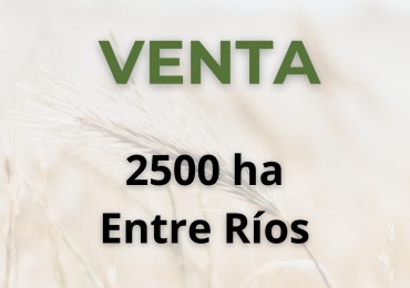 2500 ha agricolas - entre rios