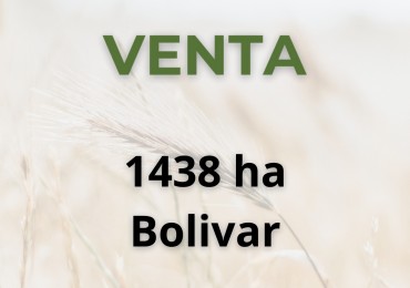 1438 ha mixto - bolivar