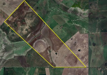 595 ha Agricolas - Pergamino
