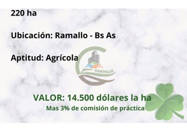 220 ha Agricolas - Ramallo
