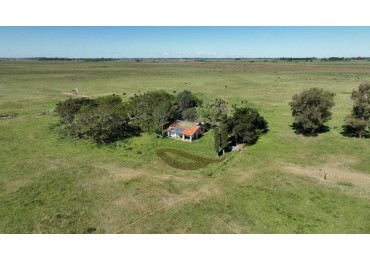88 Ha Mixto - Udaondo - Cañuelas