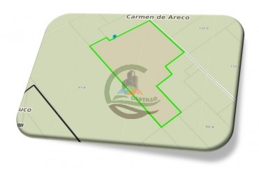 490 Ha Ganadero - Carmen de Areco