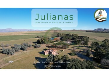 6570 ha Mixtas - Coronel Suarez