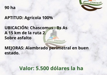 90 ha agricolas - chascomus