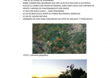 27 ha agricolas - pergamino