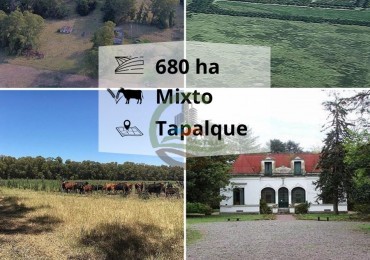 680 ha mixtas - tapalque