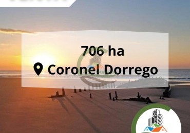706 ha con 7km de Playa - Coronel Dorrego