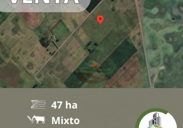47 ha MIxta - Saladillo