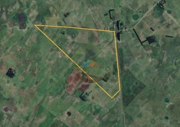 328 Ha Mixto - Colman - Rauch