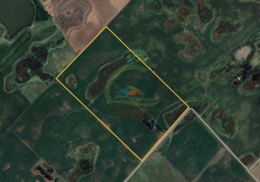 50 Ha Agricolas - Herrera Vegas