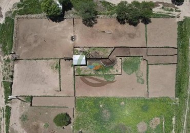 5000 Ha Ganadero - Conhelo - La Pampa