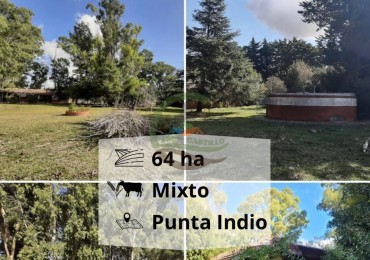 64 ha mixto - punta indio