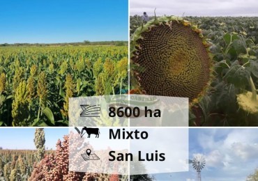 8600 HA MIxtas - San Luis
