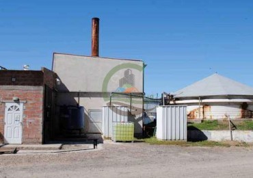 Frigorifico - con feedlot- Exportadora - La Adela - La Pampa