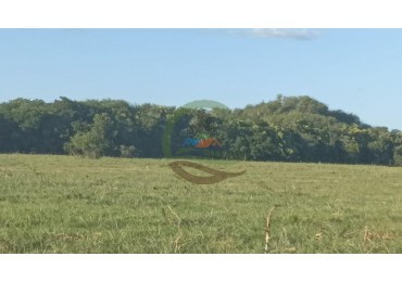 11 ha Ganadero - Eden - Uruguay