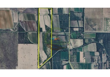 50 Ha Agricolas - San Pedro - Cordoba