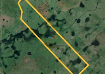 227 Ha Ganadero - Rauch