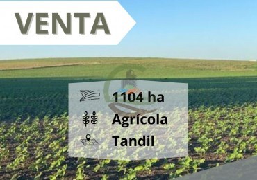 1104 ha Agricolas - Tandil