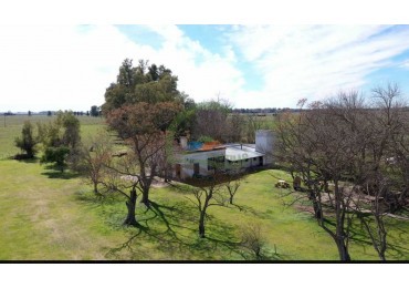 77 ha Agricolas - San Miguel De Monte