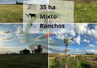 35,4 ha Mixtos - Ranchos