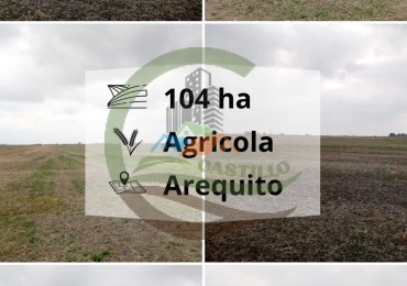 104 ha Agricola - Arequito Sta Fe