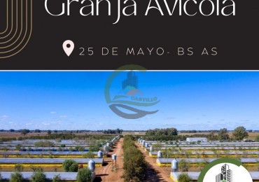 Granja Avicola 