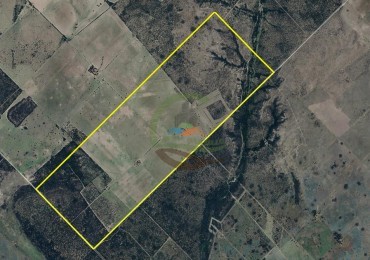 850 Ha Mixto - Puan