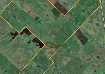 920 Ha Ganadero - Pila - Alquiler