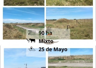 90 ha Mixtas - Pueblitos