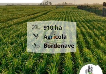 930 ha agricolas - bordenave