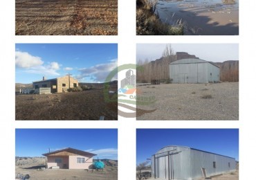59000 ha Ganadero - Chubut