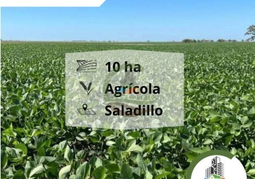 10 ha agricolas - saladillo