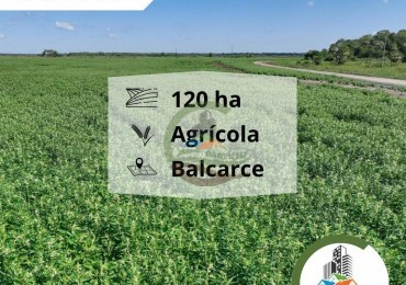 116 ha agricolas - balcarce