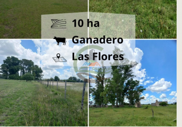 10 ha ganadera - las flores