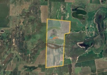 1400 Ha Mixtas - Rufino - Santa Fe