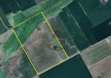 55 Ha Mixto - Salto