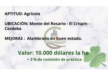 200 ha Agricolas - Cordoba 