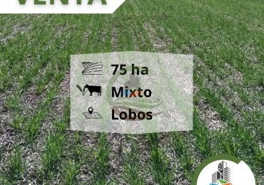 75 ha Mixto - lobos