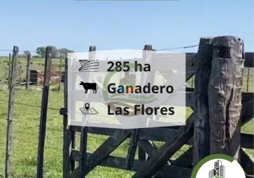 280 ha ganadero - las flores