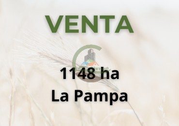 1148 ha mixto - la pampa