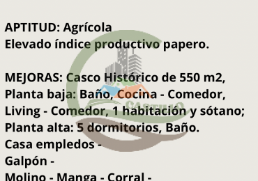 220 ha Agricolas - Balcarce  