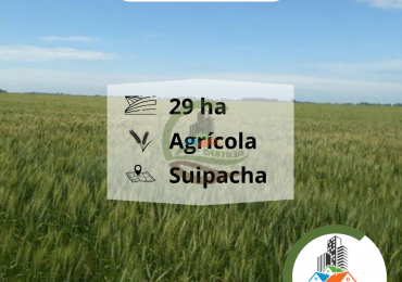 29 ha agricolas - suipacha