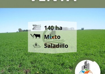 140 ha Mixto - Saladillo
