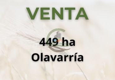 449 ha mixtas - olavarria