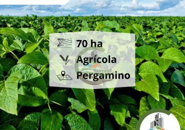 65 ha agricolas - pergamino