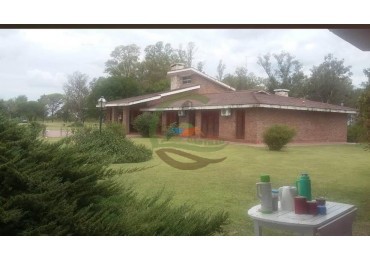 800 Ha Mixto San Francisco - Cordoba
