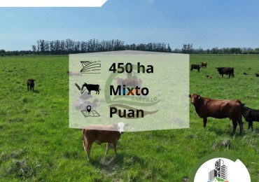 436 ha mixtas - puan