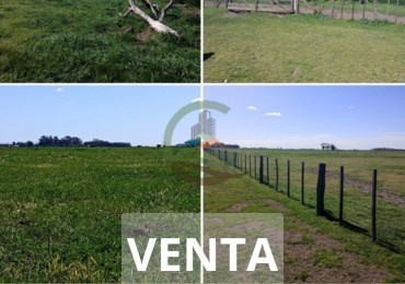 150 ha Ganaderas - 25 de Mayo