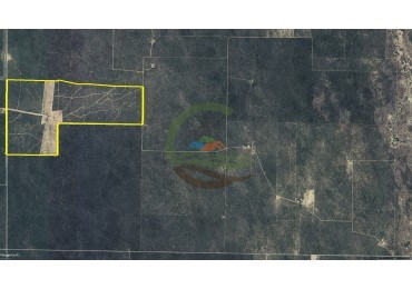 724 Ha Ganadero - Balde de la Mora - Cordoba