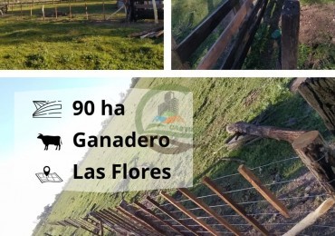 90 ha ganaderas - las flores